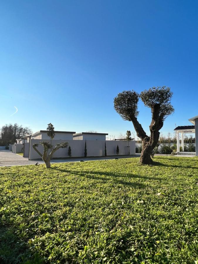 Hotell Moonlight 4*